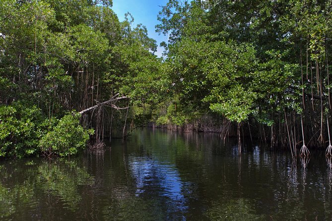 [PRIVATE] YS Falls, Black River, Pelican Bar - Entrance & Lunch - Lunch, drinks, and the practical value