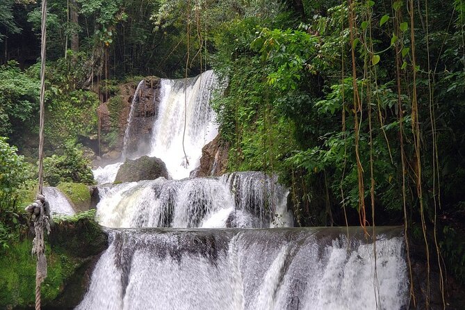[PRIVATE] YS Falls, Black River, Pelican Bar - Entrance & Lunch - The guides can shape the whole day