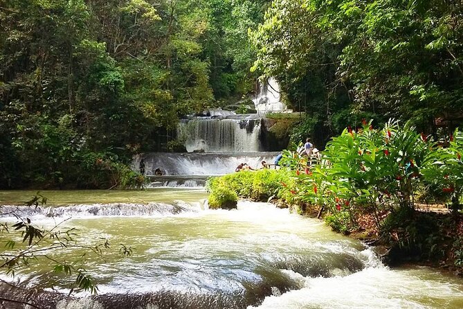 [PRIVATE] YS Falls, Black River, Pelican Bar - Entrance & Lunch - Timing, fitness, and what to bring