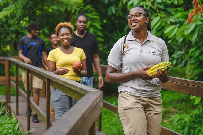 Project Chocolat Tree to Bar Tour at Hotel Chocolat Saint Lucia - Getting there can shape your decision