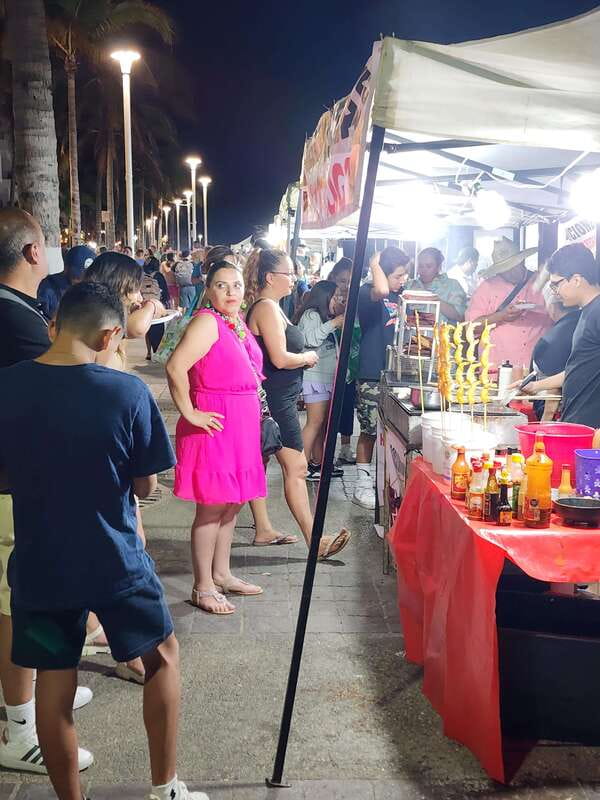 Puerto Vallarta: Malecon and Romantic Zone Nightlife Tour - Who should book this walk?