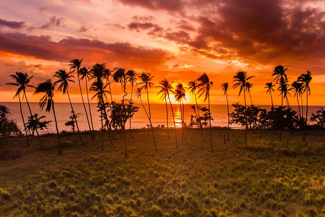 Rincon Tour Sunset & Nightlife Experience - Key details before you book