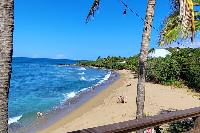 Rincon Tour Sunset & Nightlife Experience - Understanding Rincón, the Surfing Capital of the Caribbean