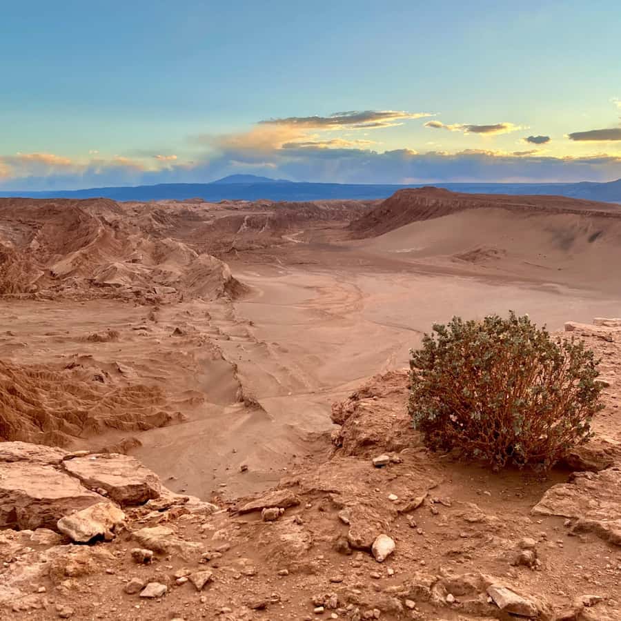 San Pedro de Atacama Tour Guiado Valle de la Luna & Cocktail - Who will enjoy this tour most?