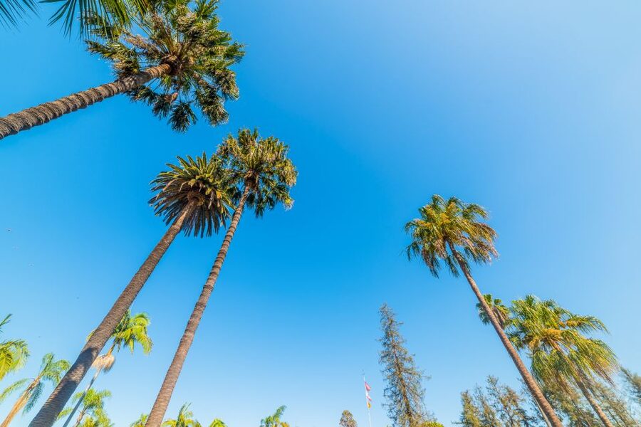 Santa Barbara: 3-Hour Cocktail and History Walking Tour - Casa de la Guerra and El Paseo