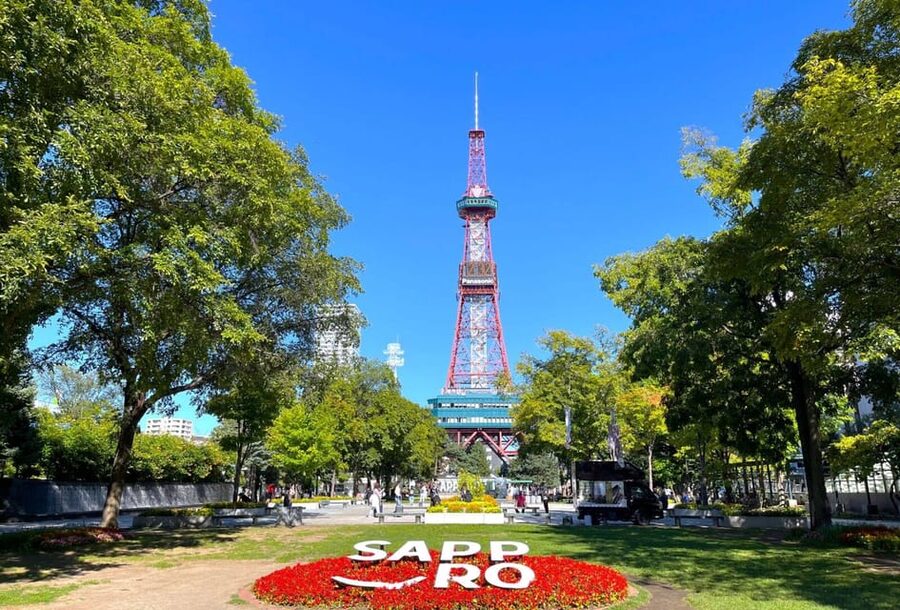 Sapporo: Buddha Hill, TV Tower, and Sake Stand Bar Tour - Key points at a glance
