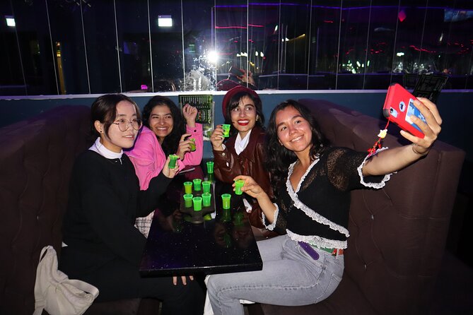Saturday Night Pub Crawl for Professionals in Vienna, Austria - Quick points to know