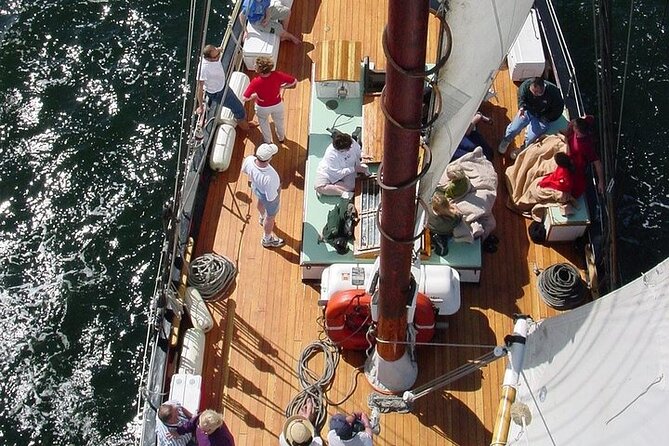 Schooner Appledore Day Sail with Full Bar in Key West - What the two-hour sail is really like