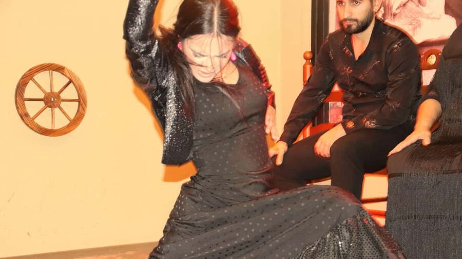 Seville: Flamenco Show & Cocktail Experience - Booking and cancellation advice