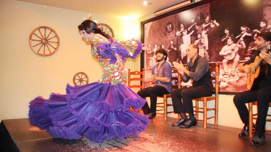 Seville: Flamenco Show & Cocktail Experience - Who will enjoy La Cantaora most