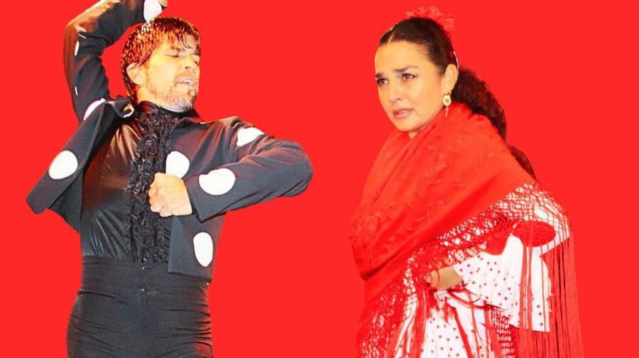 Seville: Flamenco Show & Cocktail Experience - What happens during the one-hour performance