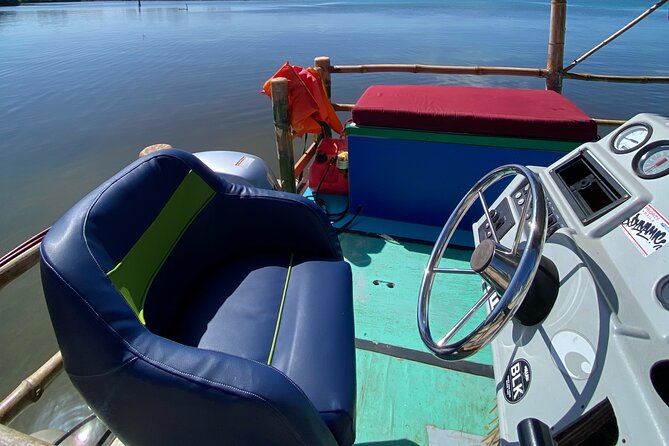 Shark & Ray Afternoon Swim Tiki Bar Cruise - Key Points Before You Book