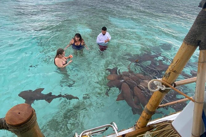 Shark & Ray Afternoon Swim Tiki Bar Cruise - Leaving The Split at 1:00 PM