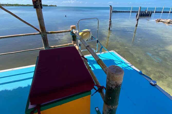 Shark & Ray Afternoon Swim Tiki Bar Cruise - Meeting Nurse Sharks and Rays in Clear Water