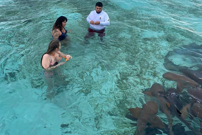 Shark & Ray Afternoon Swim Tiki Bar Cruise - Is the $60 Price Good Value?