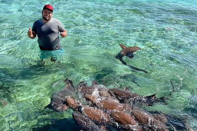 Shark & Ray Afternoon Swim Tiki Bar Cruise - Timing, Sundays, and Cancellation Rules