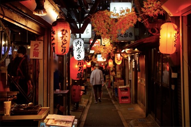 Shinjuku Golden-gai and Kabuki-cho Bar Hopping with Master Guide - Godzilla Road and Kabukicho after dark