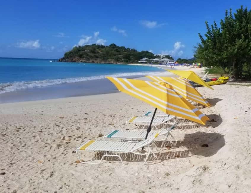 Sip & Paint with lunch on exciting Ffryes Tiki beach Bar - Key Points to Know Before You Go