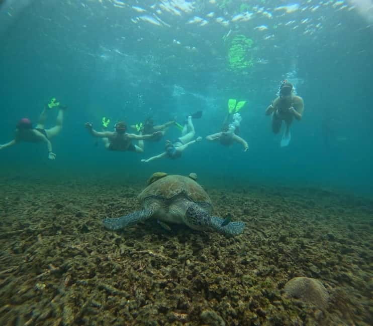 Snorkeling Tour with meals and BBQs - Cocktail - Sunset⭐⭐⭐⭐⭐ - What makes this Koh Tao day special