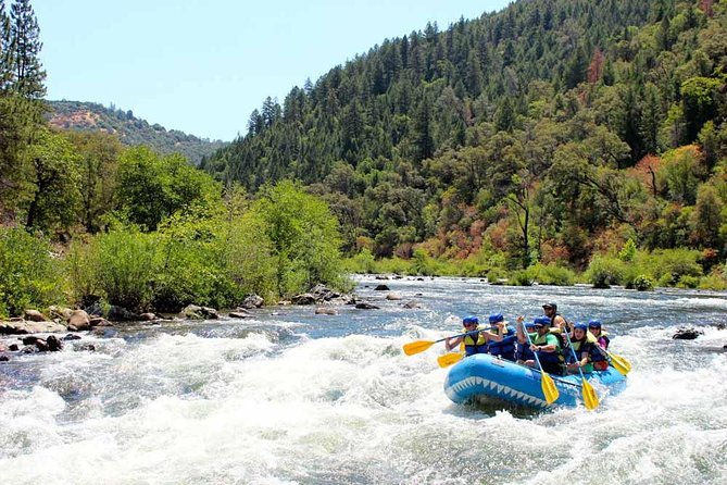 South Fork, American River: Chili Bar (Class III+ Whitewater) - Meeting near Pilot Hill at 8:30 am
