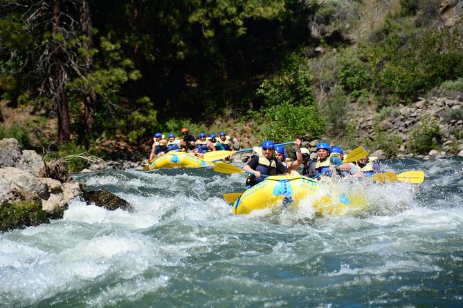 South Fork, American River: Chili Bar (Class III+ Whitewater) - Trouble Maker and the final stretch