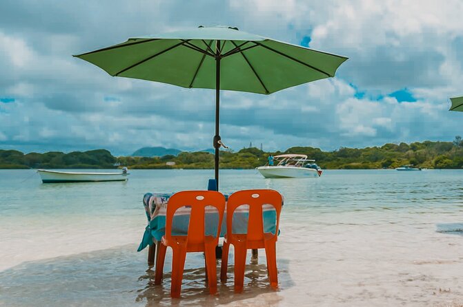 Speedboat Ile aux Cerfs + GRSE Waterfall, BBQ and Bar - Is $76.14 a fair price?