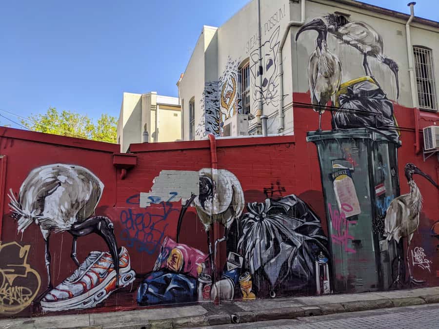 Sydney: Street Art & Small Bar Tour with Complimentary Drink - The opening street art walk sets the tone
