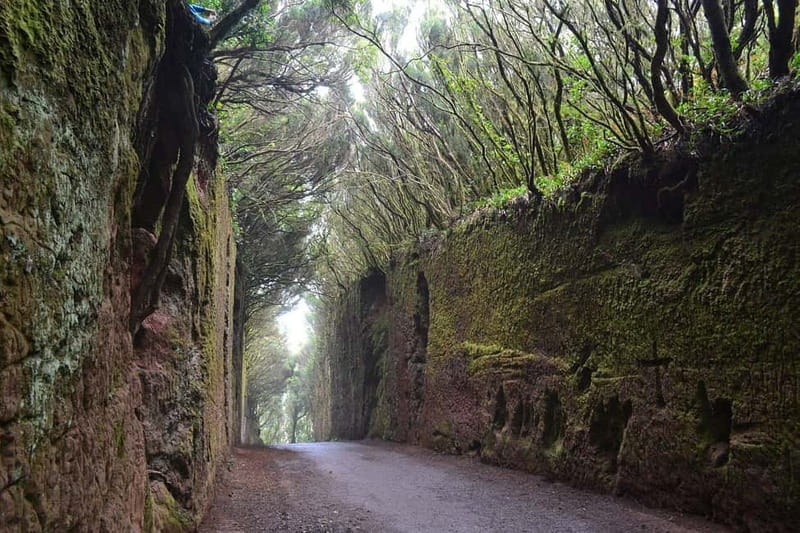 Tenerife Hidden Gem: Anaga Hike, Bajamar Pools & Cocktail - How good is the $112 value?