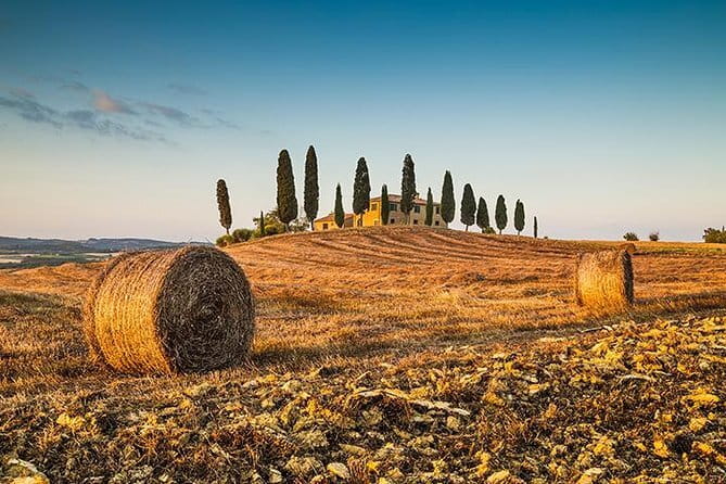Tipsy Tour: Guided Bar Crawl In Florence with Dark History - Who will enjoy this most