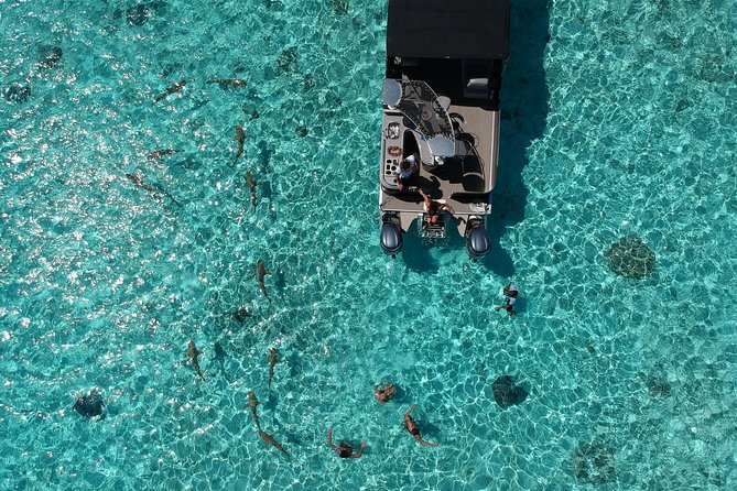 Toa Boat Bora Bora Private Lagoon Tour On Entertainer Bar Boat - A private start to the Bora Bora lagoon