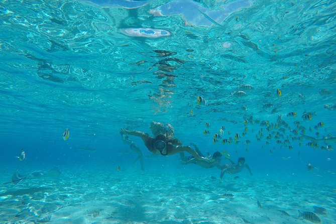 Toa Boat Bora Bora Private Lagoon tour with Lunch on Entertainer Bar Boat - Music, Stories, and a More Personal Pace