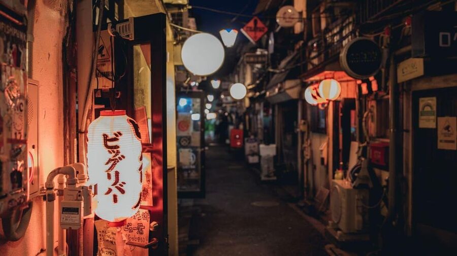 Tokyo: Enjoy Tokyo's Nightlife in Shinjuku - Omoide Yokocho and 100 minutes of food