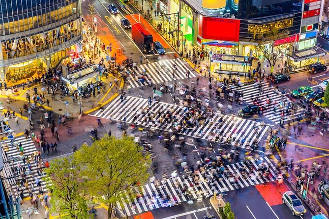 Tokyo: Shibuya Local Bar & Izakaya Crawl Tour - Key points at a glance