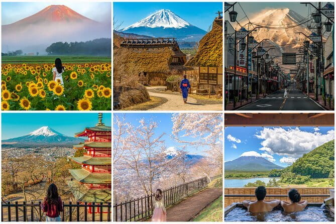 Tokyo Ueno Food & Nature & Localtown Tour: 10Dishes+ Drinks - What the small-group format changes