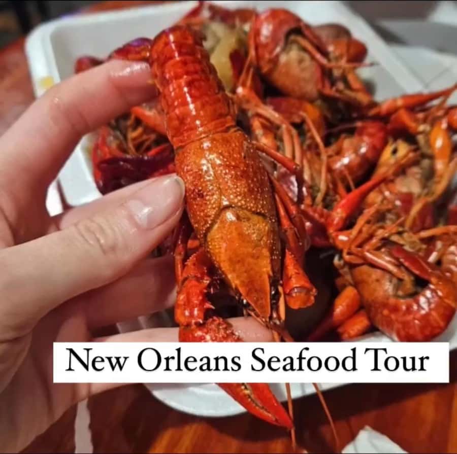 Treme Bar Crawl & Seafood Experience - A balanced take on the 4.2 rating