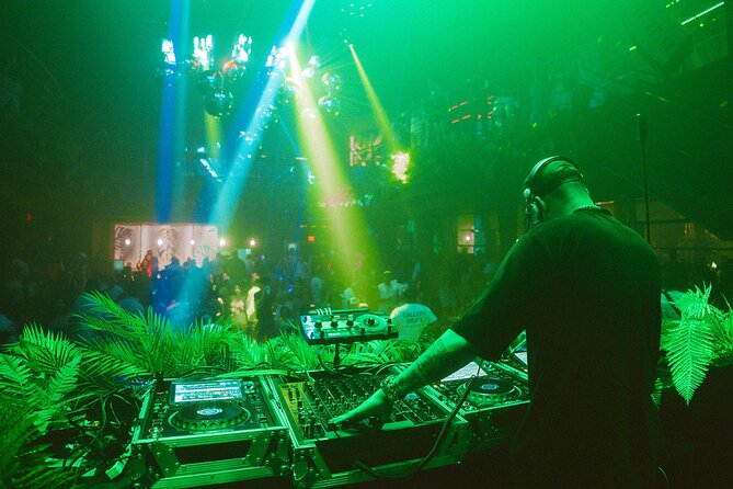 Tropicalia Disco – Party Night – Nightclub - Key points to know before booking