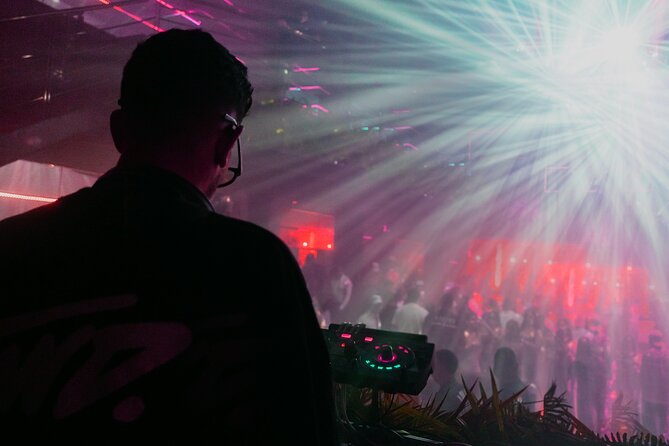 Tropicalia Disco – Party Night – Nightclub - What the five-star praise gets right