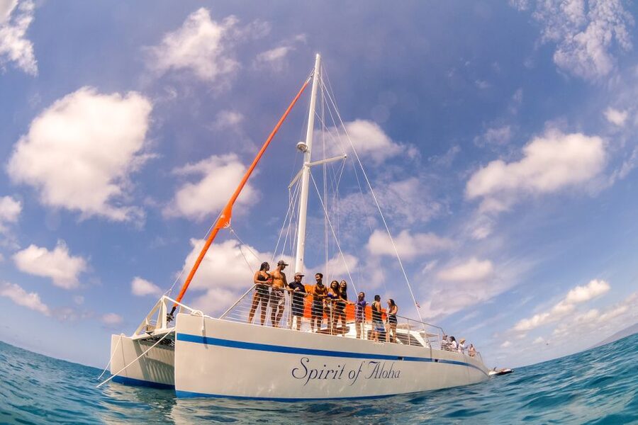 Waikiki Sunset Cocktail Cruise with Drinks and Appetizers - Key points to know before booking