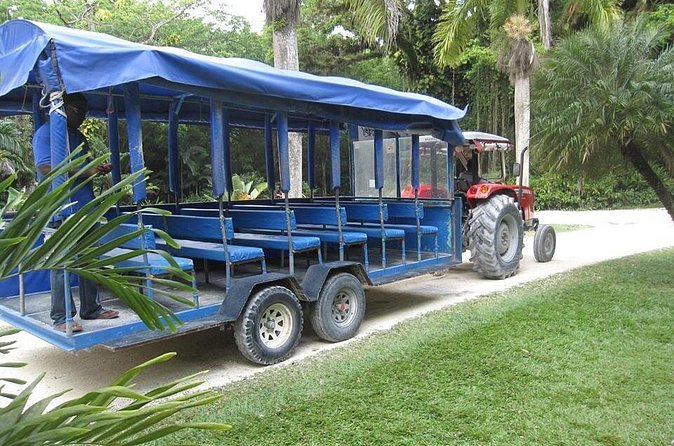 YS Falls and The Pelican Bar Adventure Tour from Negril - Floyd’s Pelican Bar: a drink on a sandbar