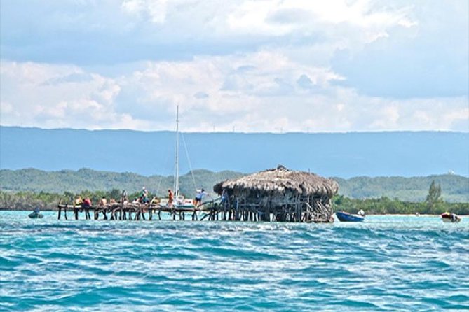 YS Falls and The Pelican Bar Adventure Tour from Negril - What the $229.62 price really covers