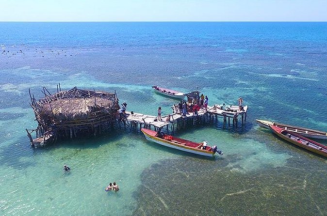 YS Falls and The Pelican Bar Adventure Tour from Negril - Who will enjoy this outing most