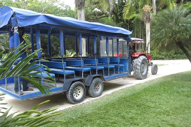 YS Falls and The Pelican Bar Adventure Tour from Negril - The ride from Negril to the south coast