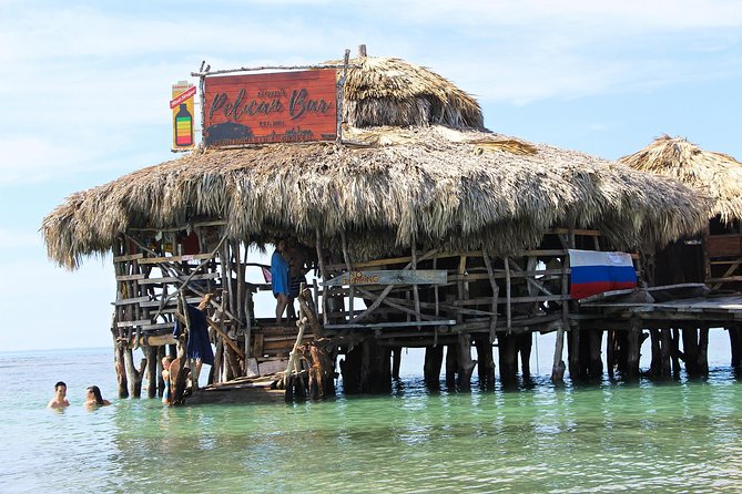YS Falls, Black River Safari, and Floyd's Pelican Bar Day-Trip (Transportation) - Key points at a glance