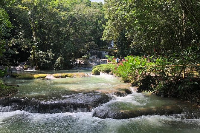 YS Falls, Black River Safari, and Floyd's Pelican Bar Day-Trip (Transportation) - Why this private South Coast day works