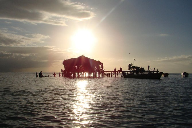 YS Falls, Black River Safari, and Floyd's Pelican Bar Day-Trip (Transportation) - Black River Safari through Jamaica’s wetland