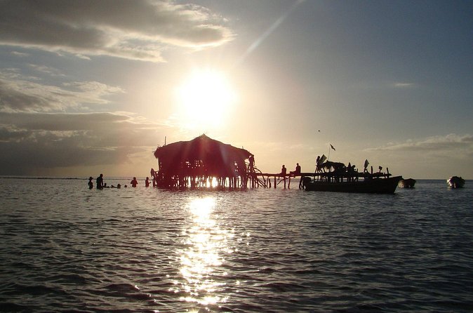 YS Falls, Black River Safari, and Floyd's Pelican Bar Day-Trip (Transportation) - The driver can shape the whole day