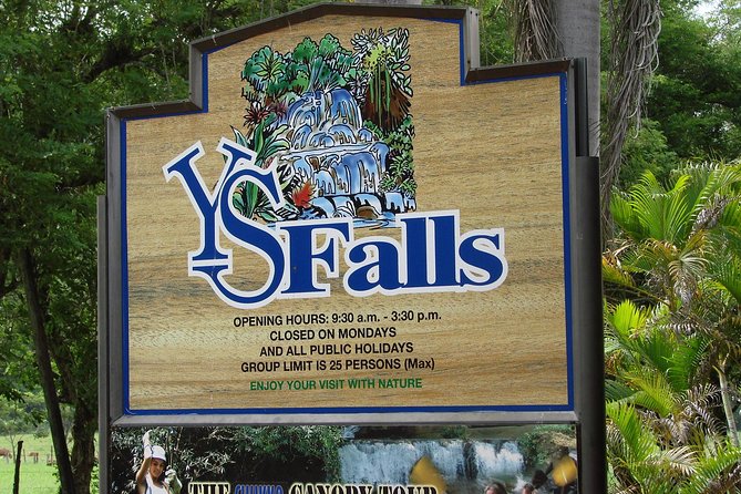 YS Falls, Black River Safari, and Floyd's Pelican Bar Day-Trip (Transportation) - YS Falls and the seven cascading pools