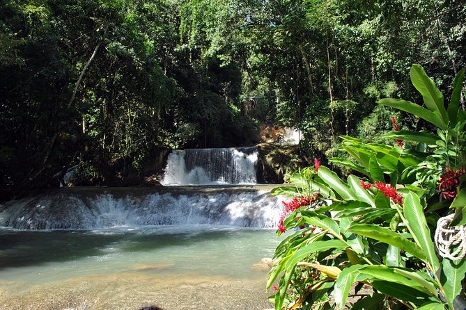 YS Falls, Black River Safari, Appleton Rum Tour OR Pelican Bar (Choose Up to 3) - What the $195 private tour really includes