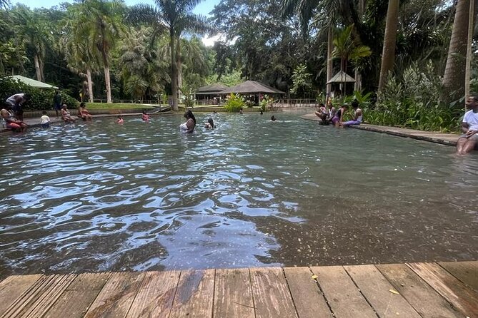 YS Falls, Black River Safari, Appleton Rum Tour OR Pelican Bar (Choose Up to 3) - Picking the best three attractions