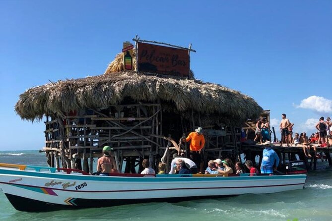 YS Falls, Black River Safari, Appleton Rum Tour OR Pelican Bar (Choose Up to 3) - What the drivers add to the experience